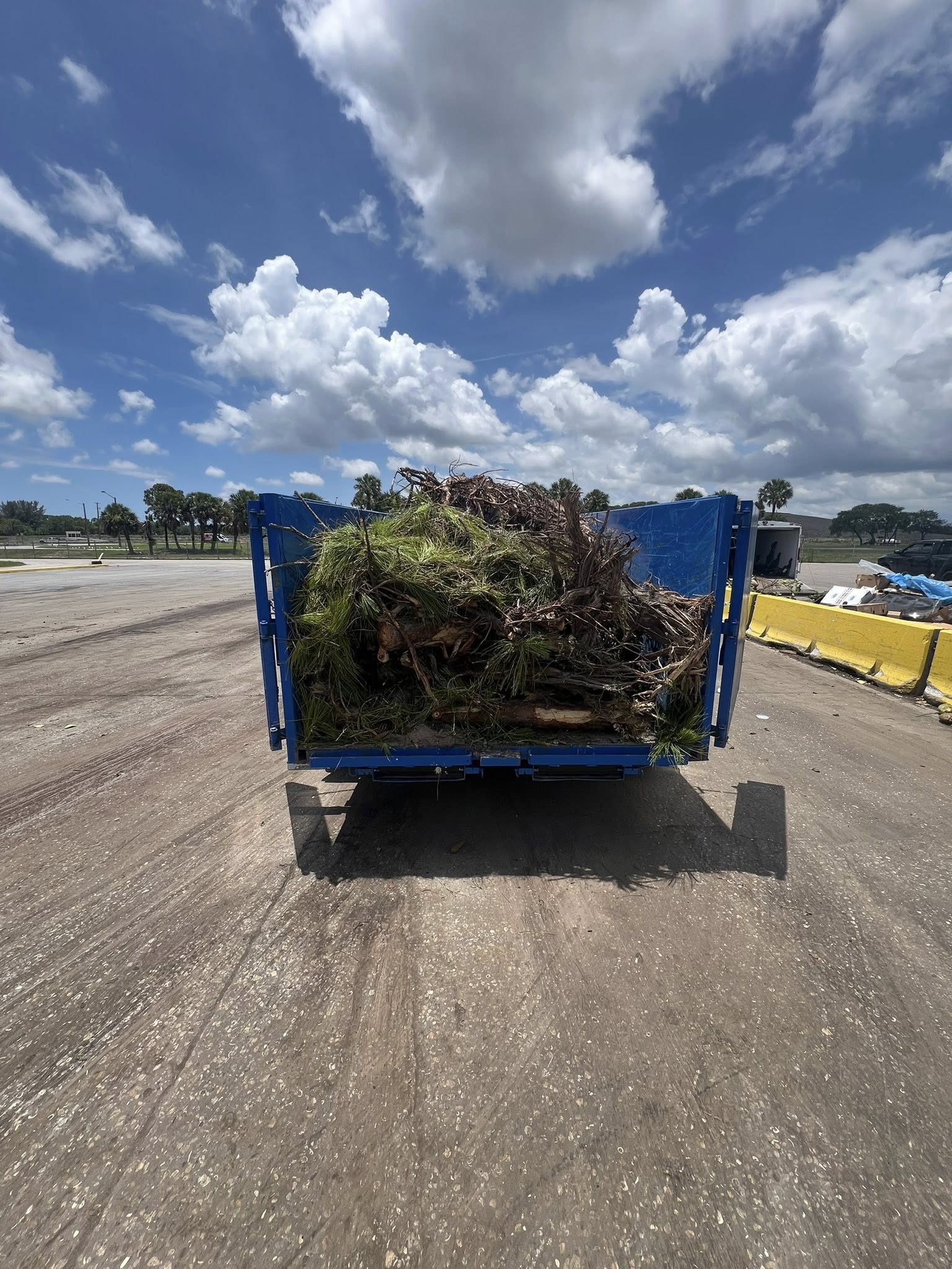 Tree-trimming branches and yard debris loaded into a blue dump trailer.